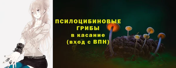 первитин Арсеньев