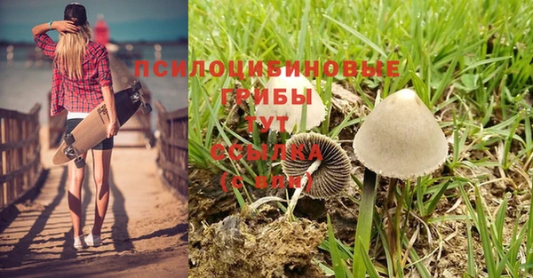 герыч Аркадак